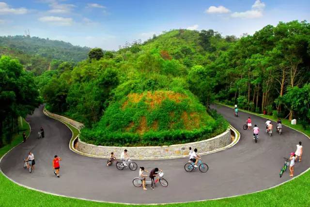 大亚湾滨海绿道最新视频,沿海绿道惠州