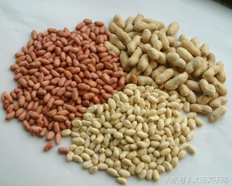 中国地理标志大会视频,国家地理标志产品官方采访