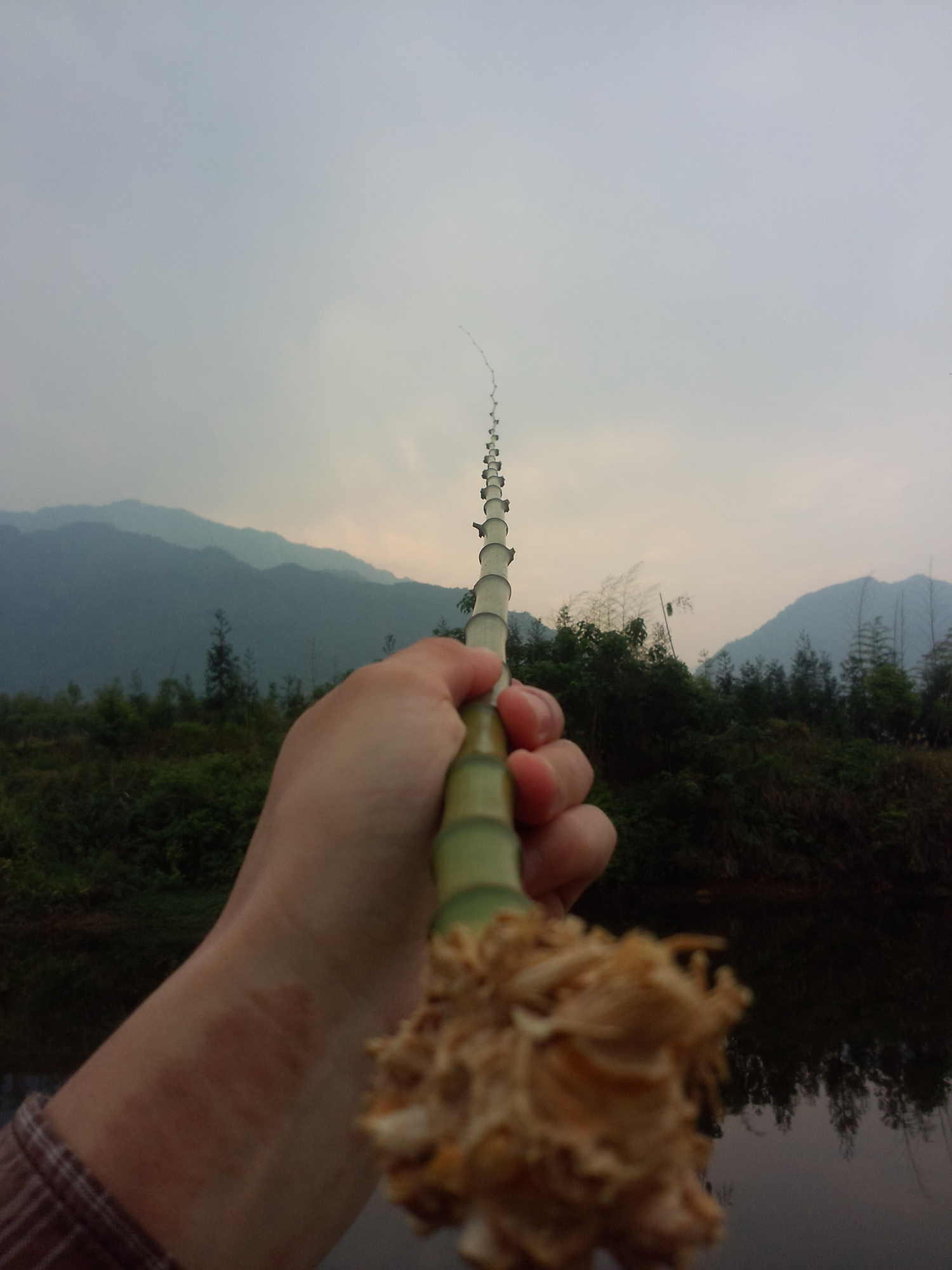 在山上砍竹竿拿来钓鱼养鱼,金竹适合做鱼竿吗