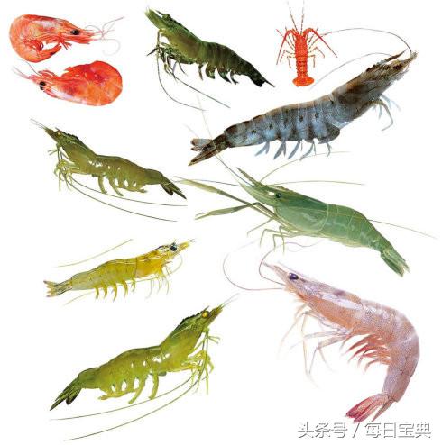 舌尖上的龙虾,品尝正宗龙虾美食的感受