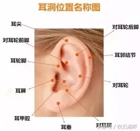 耳蜗打耳洞有什么讲究吗,男生打耳洞有什么讲究吗