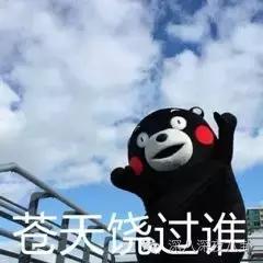 沈梦辰杜海涛芒果台,芒果台杜海涛沈梦辰