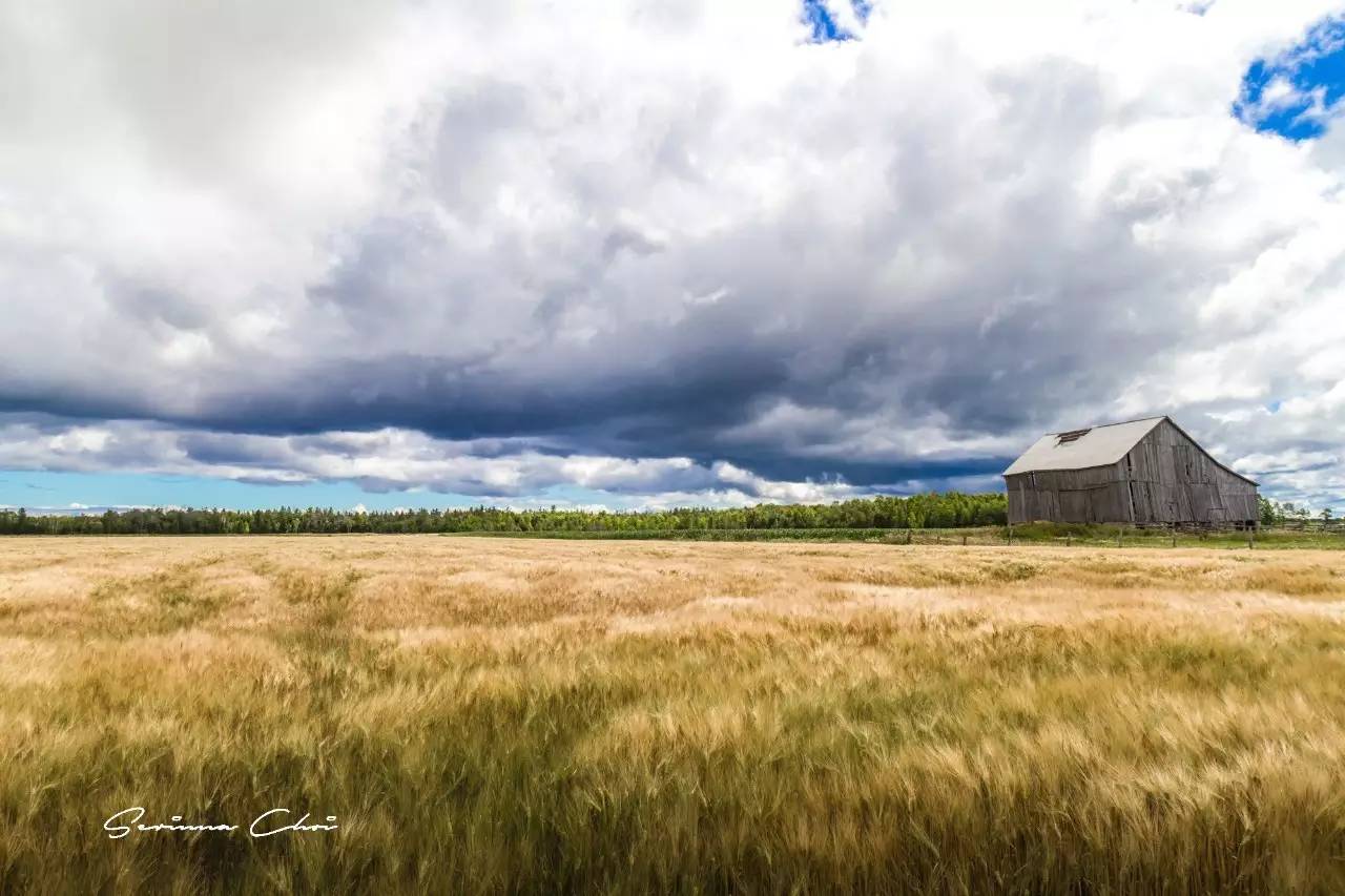 琛屾憚鍗冨北涓囨按鏁欑▼,琛屾憚鏀荤暐