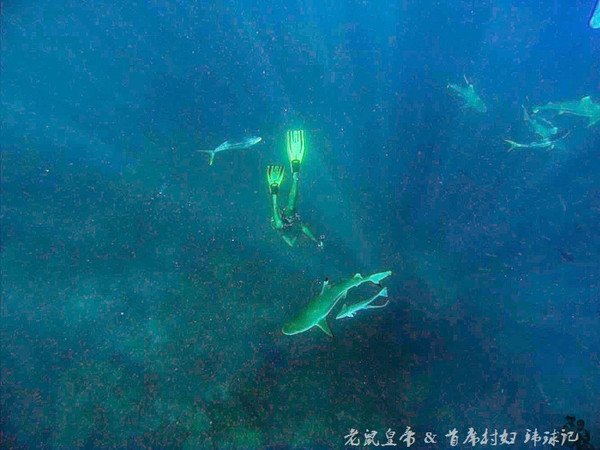 帕劳世界七大海底奇观,帕劳夕阳奇观图片