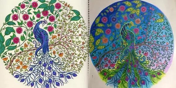 凭本264字成人图书却“莫名其妙”风靡了全球！狂销300万册