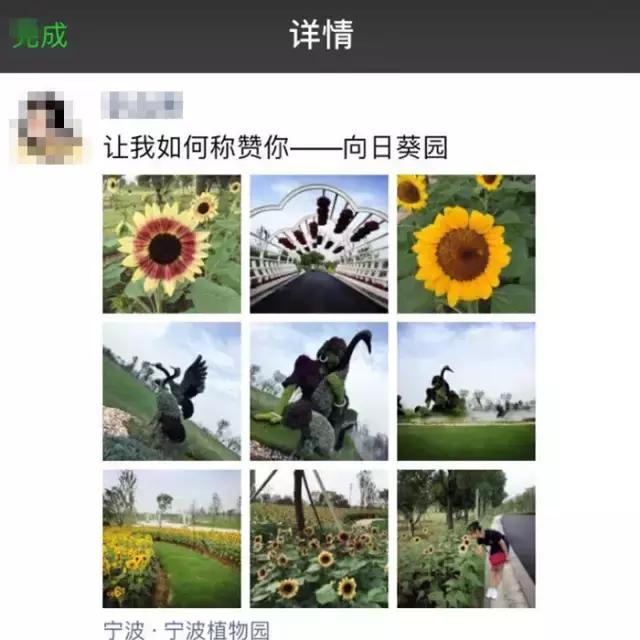 天呐！镇海将拥有宁波最大草坪？还将建宁波唯一