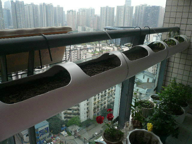 大叔用pvc管在阳台种菜7年,江苏人巧用pvc管阳台种菜