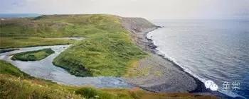 10句养鱼常用的“黑话”，你都知道吗？