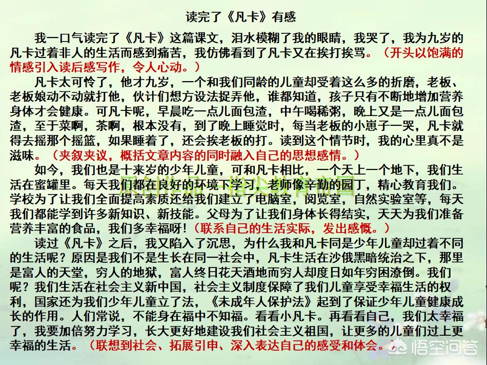 中小学生心理健康读后感250字左右,中小学生树立正确的学习观读后感