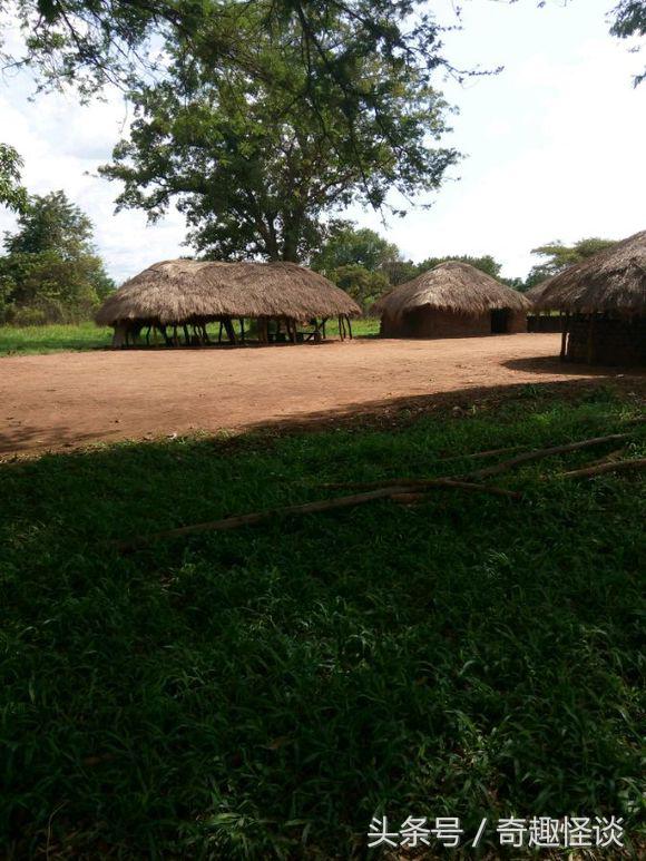 我在非洲工作的日子，给大家介绍下非洲的风土人情