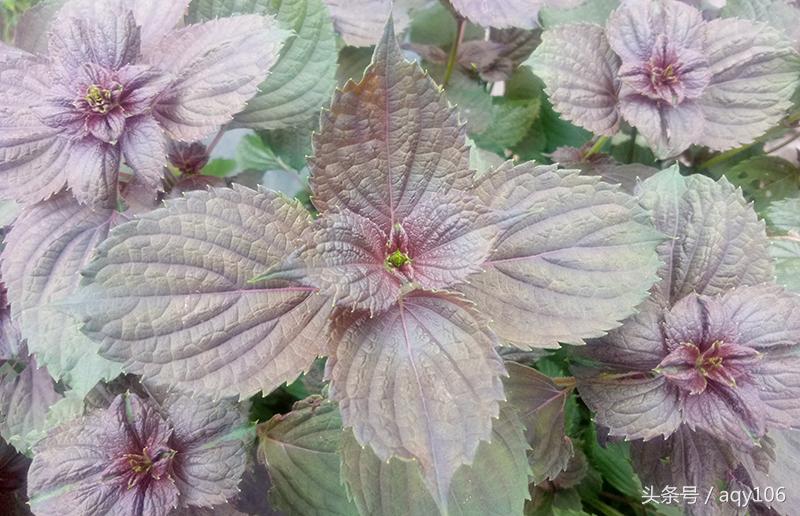 魅蓝青年良品店,魅蓝note3全部功能介绍