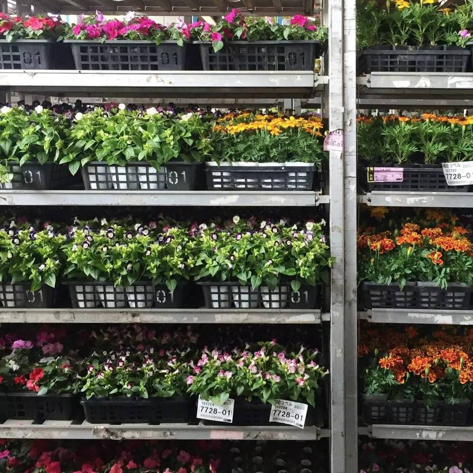 十万步走出的东京花店