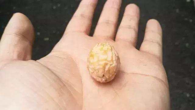 成都寺庙看银杏最美的地方,成都市最美银杏树在什么位置