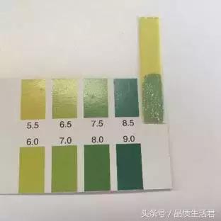 牙膏届的网红款到底怎么样?11款评测给你看