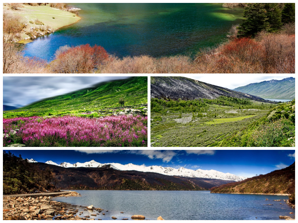 不要高反还想看冰川？来海螺沟啊！