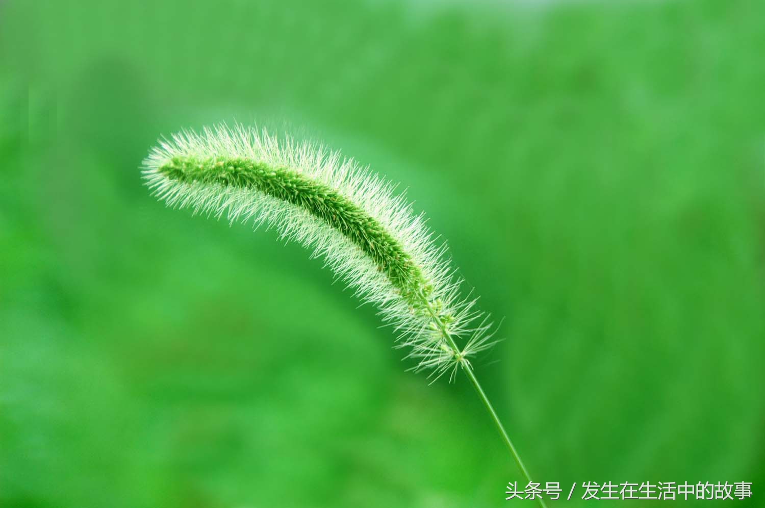 各种办法抓螃蟹,怎样才能轻松抓到螃蟹