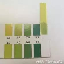 牙膏届的网红款到底怎么样?11款评测给你看