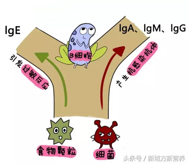 宝宝湿疹用激素药副作用,治疗湿疹的炉甘石有副作用吗