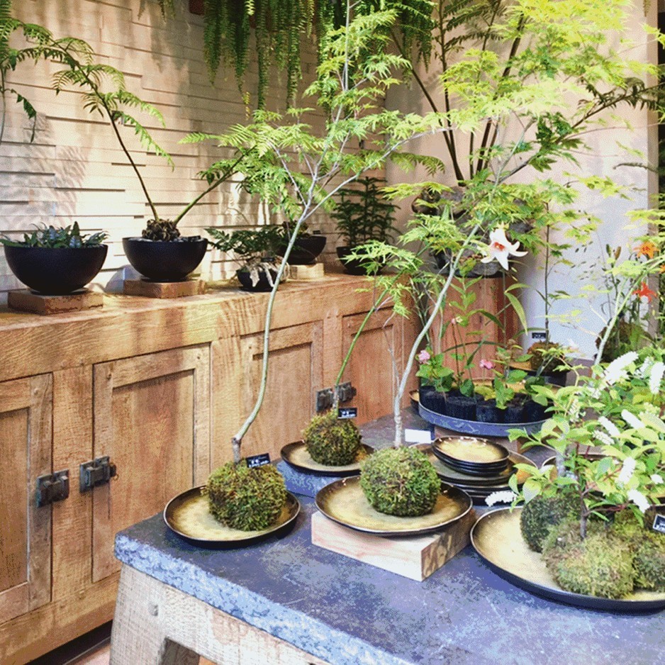 东京花店,东京南青山花店