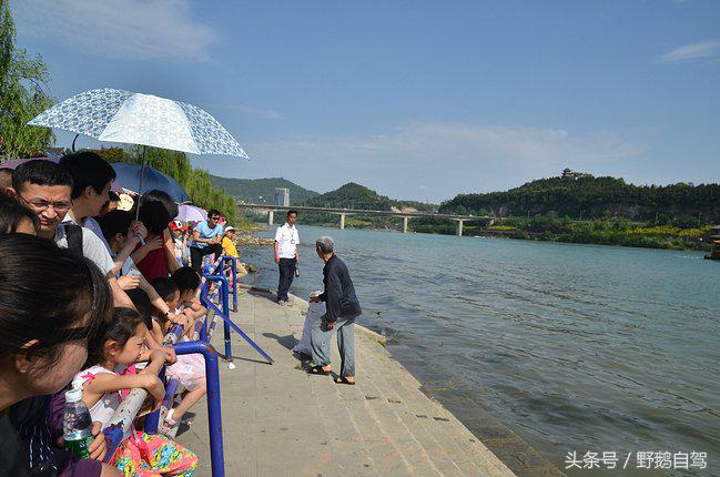 新疆野鹅自驾游视频,野鹅圣诞节自驾游
