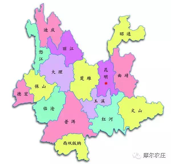 衡水你好，我叫云南，这是我的简历