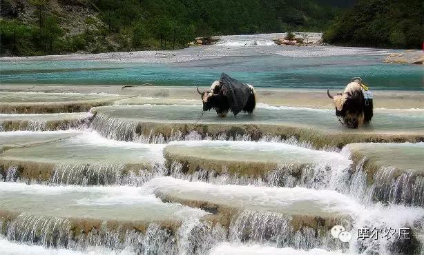 衡水你好，我叫云南，这是我的简历