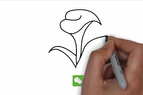 三分钟就能学会的简笔画,一看就会一学就废的简笔画合集