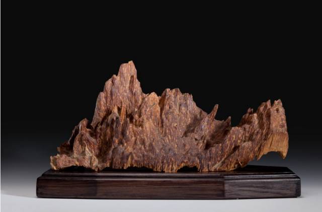 越南芽庄旅游究竟怎么样 (越南芽庄旅游最新消息)