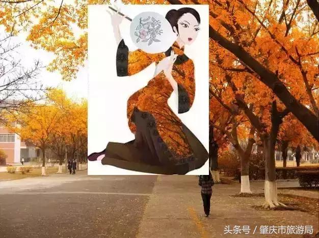 西大下了一场雨,美翻了整个肇庆!