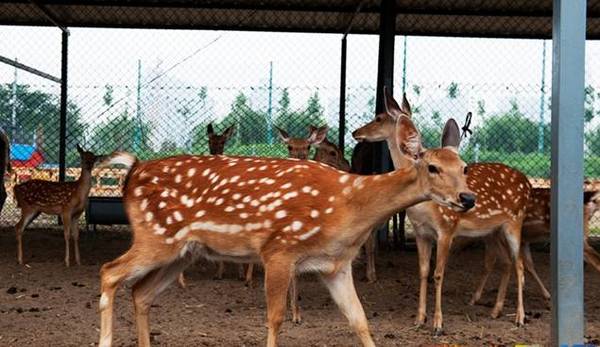 冬日最适合和情侣泡温泉北京,冬季泡温泉旅游攻略