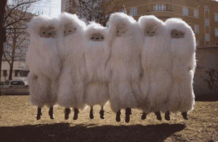 盘点十件颜值高又实用好物,好用不贵8款百元内好物推荐