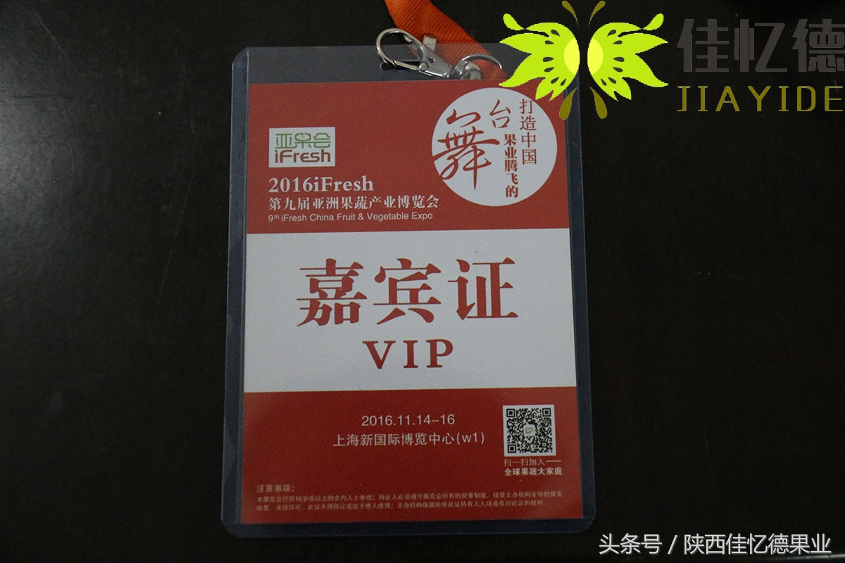 花了1500元买了张VIP门票，他带着商南猕猴桃走进了会场