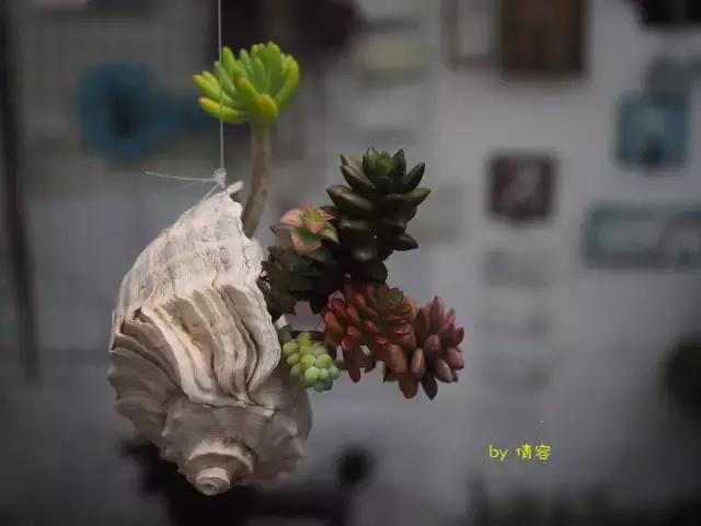 威海荣成海上时光,威海悠闲旅游