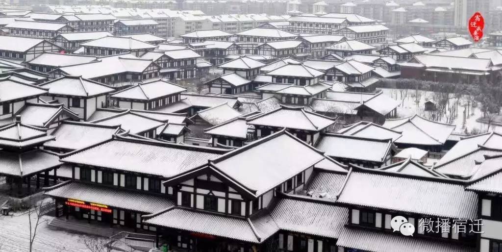 雪中宿迁，素颜都美到窒息！