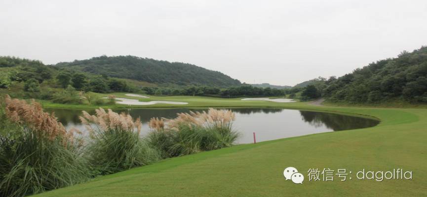 高尔夫优惠团购99元直播,国际高尔夫订场