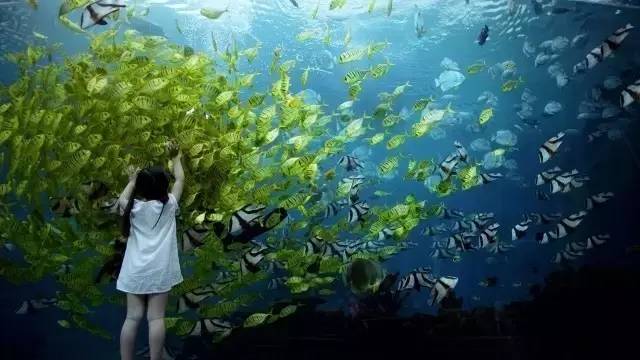 三亚旅游5天名额免费送,三亚旅游最新优惠活动