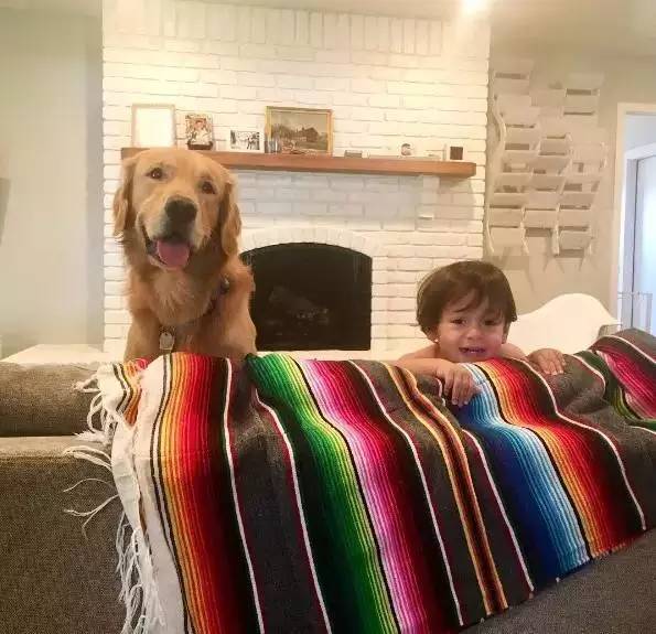 又软又舒服的可爱抱枕,让你幸福感爆棚的可爱抱枕