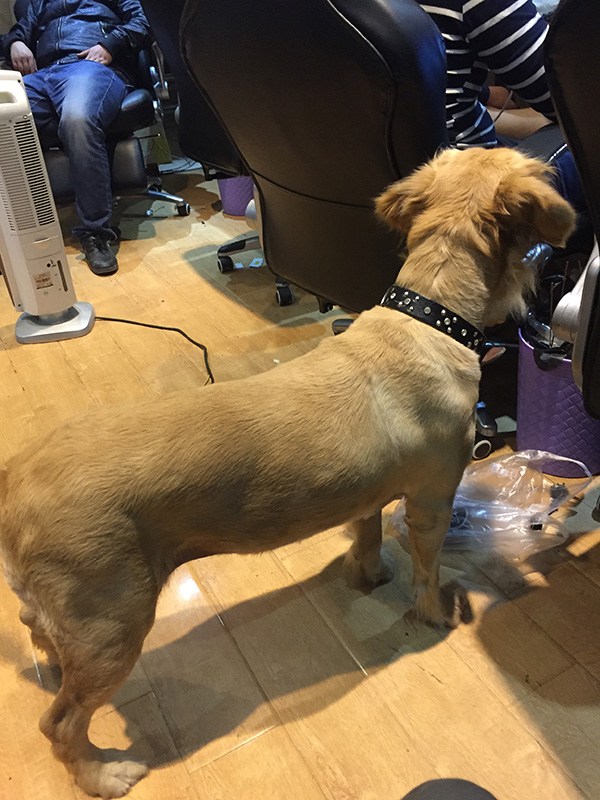 平凡少年与城市英雄:贵州MON战队的四年一梦