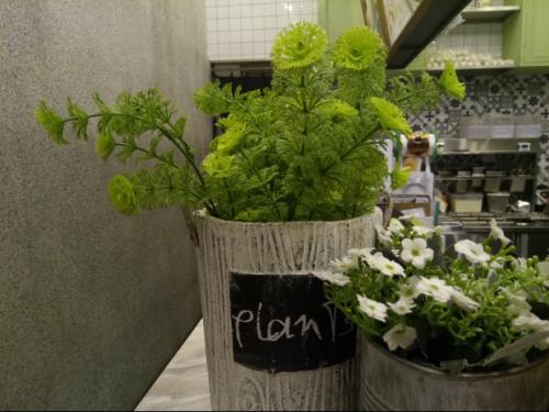 中兴bladea2plus价格,国产性价比高手机推荐