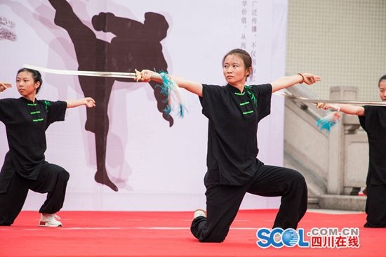 四川高校网球,四川体育一本院校有哪些