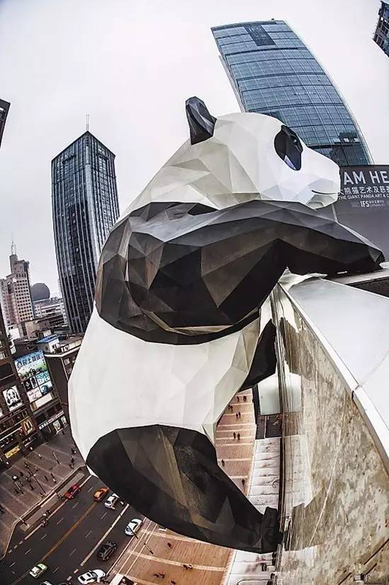 四川大熊猫栖息地在哪个位置,3分钟了解四川大熊猫栖息地