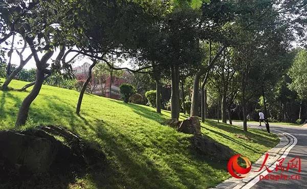 不仅是“老板的摇篮”！这里是福建晋江（附VR全景视频）