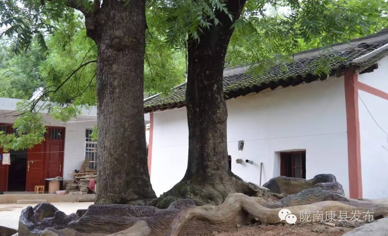 陇南康县杨湾村：团结桥上话幸福