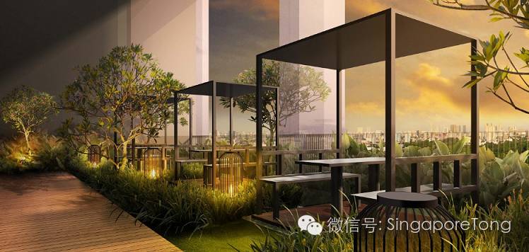 萝卜评价世界杯,萝卜评价丁俊晖