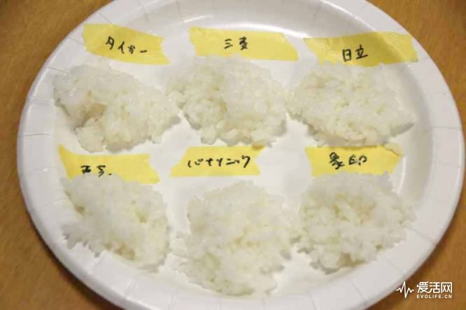 日本电饭煲测评排行,电饭煲哪个牌子的煮饭最好