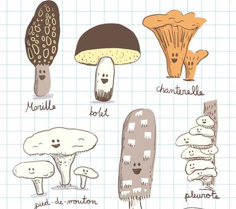 新房如何科学的去甲醛,网传新房去甲醛方法真的有效吗