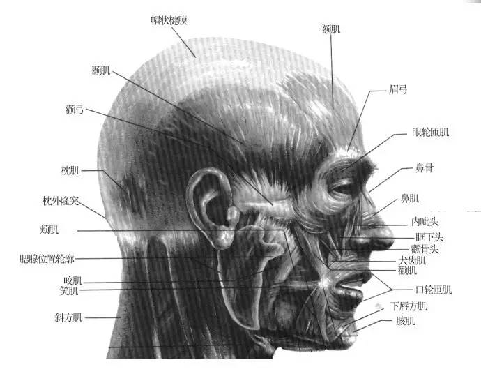 maya影视制作教材,maya影视动画