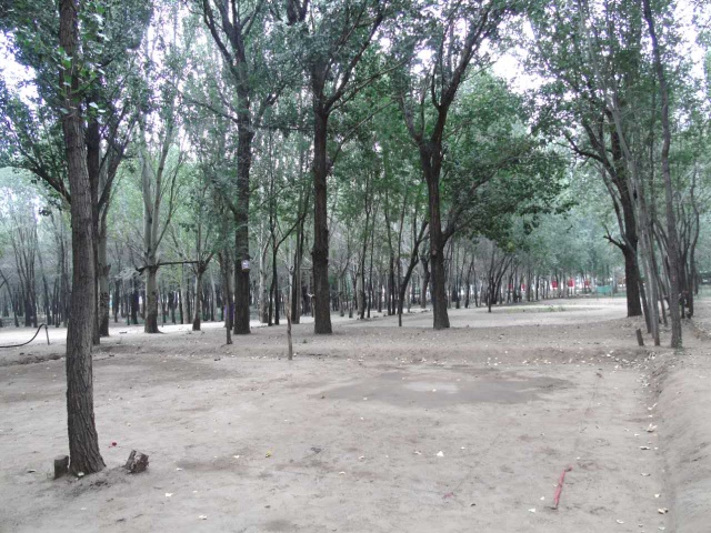 包头市新建体育公园,包头体育公园开始建了吗