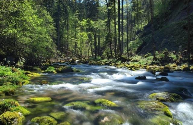 著名作家李汉荣,李汉荣的李白