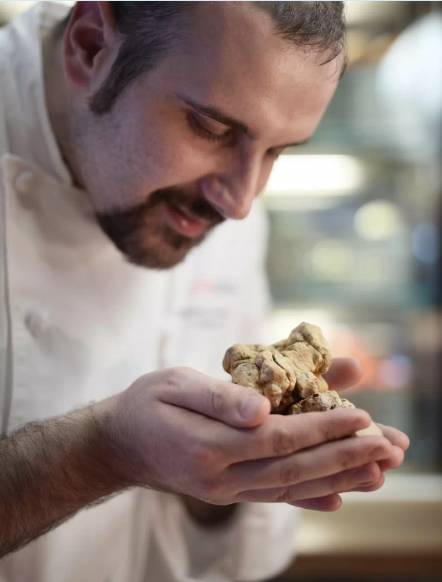 松露新口味,顶级松露的秘密